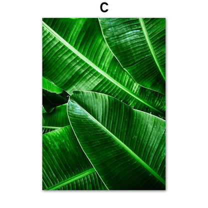 Green Plant Canvas