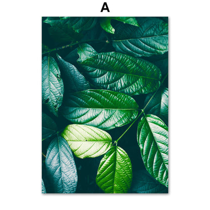 Green Plant Canvas