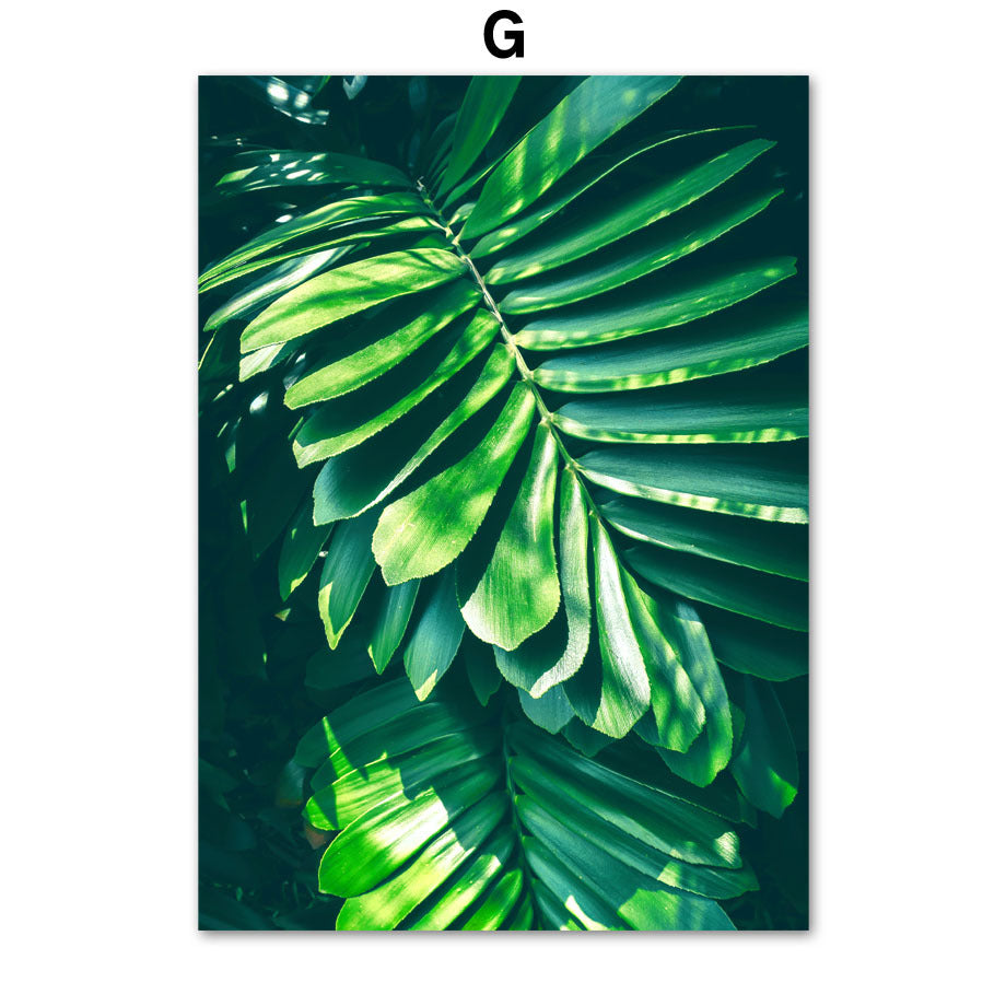 Green Plant Canvas