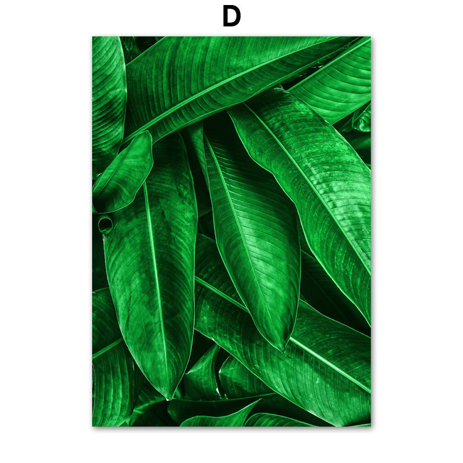 Green Plant Canvas