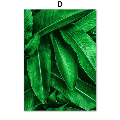 Green Plant Canvas