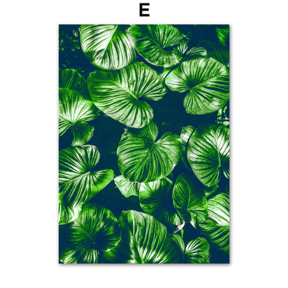 Green Plant Canvas